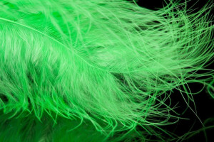 A. Jensen Blood Quill Marabou - green